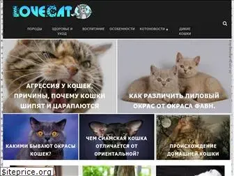 lovecat.in.ua