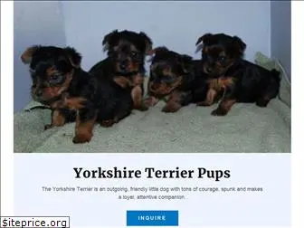 loveonaleashyorkies.com