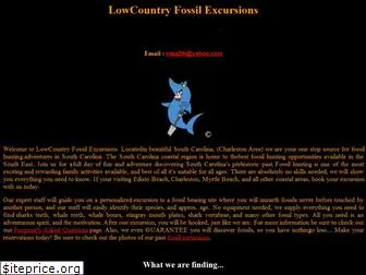 lowcountryfossilexcursions.com