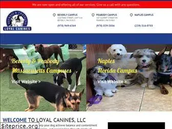 loyalcanines.com