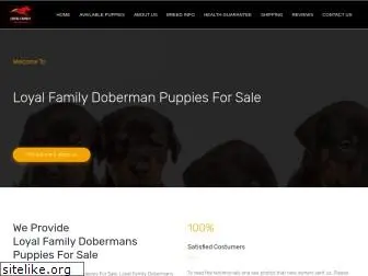 loyalfamilydobermanpupsforsale.com