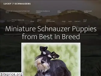 lucky7schnauzers.com