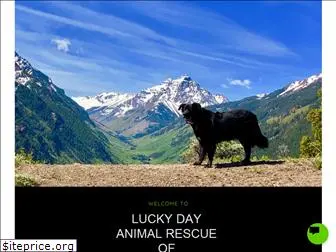 luckydayrescue.org