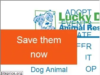 luckydoganimalrescue.org