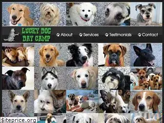 luckydogdaycamp.net