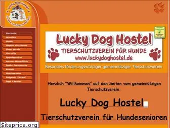 luckydoghostel.de