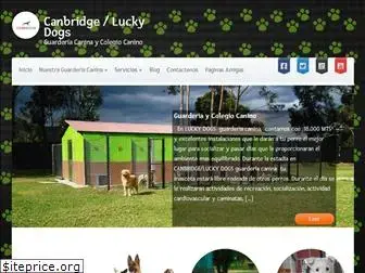 luckydogshotel.com