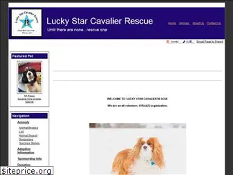 luckystarcavalierrescue.org