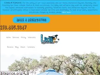 lucysdoggydaycare.com