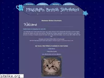 mabledonbritishshorthairs.com