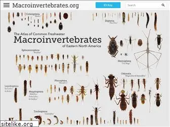 macroinvertebrates.org