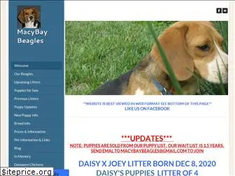 macybaybeagles.weebly.com