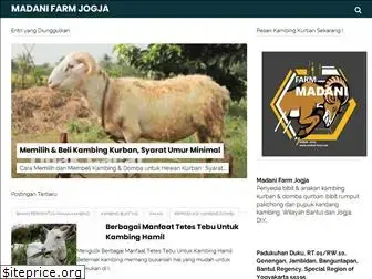 madani-farm.com