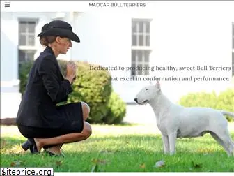 madcapbullterriers.com