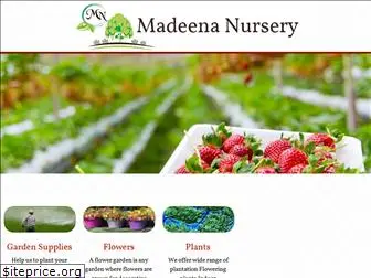 madeenanursery.com