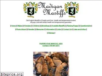 madiganmastiffs.com