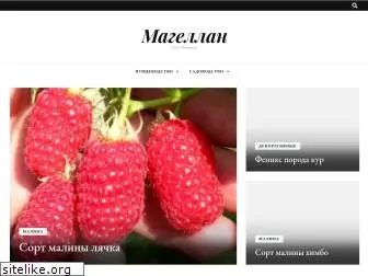 magellan-agro.ru