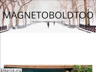magnetoboldtoo.com