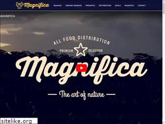 magnificafoods.com