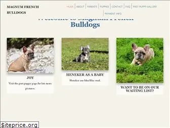 magnumfrenchbulldogs.com