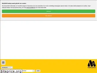 magnumheating.nl