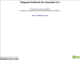 magnumsa.com.br