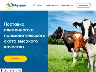 magrogrupp.com