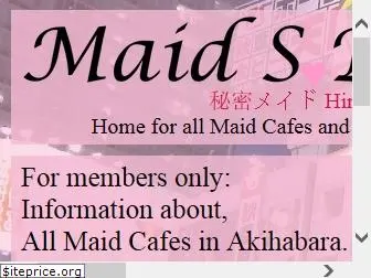 maidsrunner.com