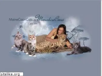 maine-coon-babys.com