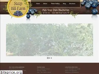 maineblueberryfarm.com