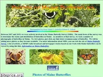 mainebutterflies.com