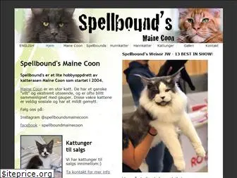 mainecoons.no