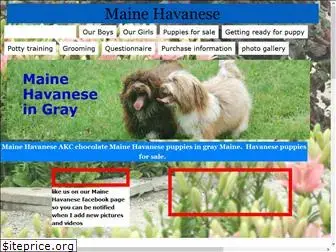 mainehavanese.com