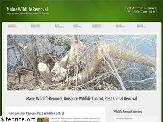 mainewildliferemoval.net