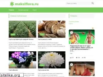 maksiflora.ru