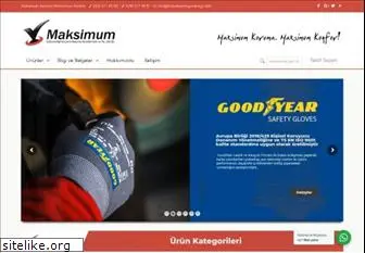 maksimumisguvenligi.com