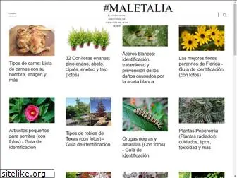 maletalia.com