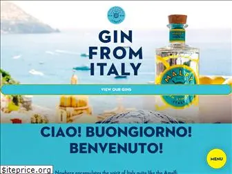 malfygin.com