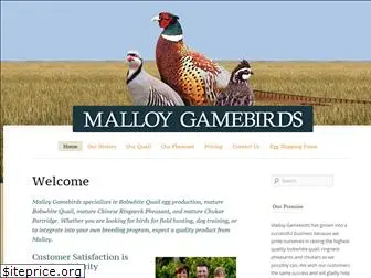 malloygamebirds.com