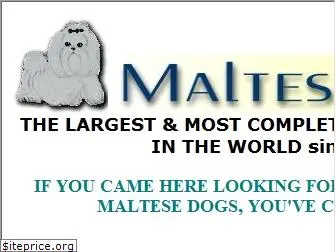 malteseonly.com