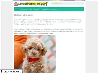 maltipoopuppies.org