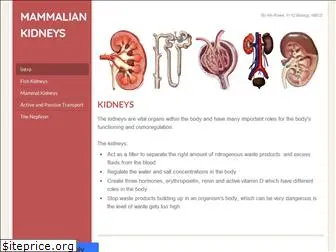 mammaliankidney.weebly.com