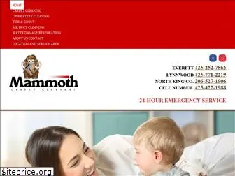 mammothcleaners.com