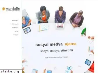 mandalinsosyalmedya.com