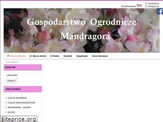 mandragora.net.pl