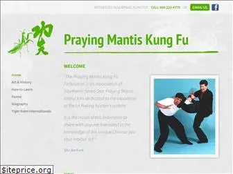 mantiskungfu.com