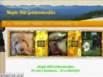 maplehillgoldendoodles.com