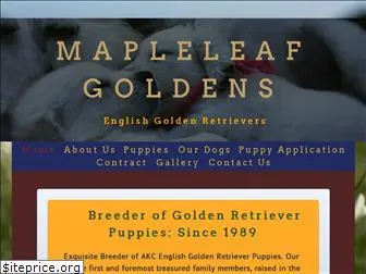 mapleleafgoldens.com