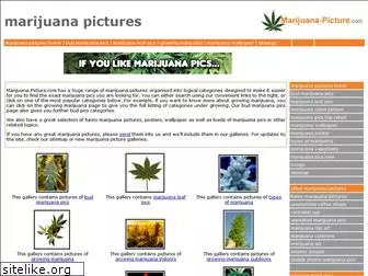 marijuana-picture.com