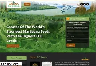 marijuanaaffiliate.com